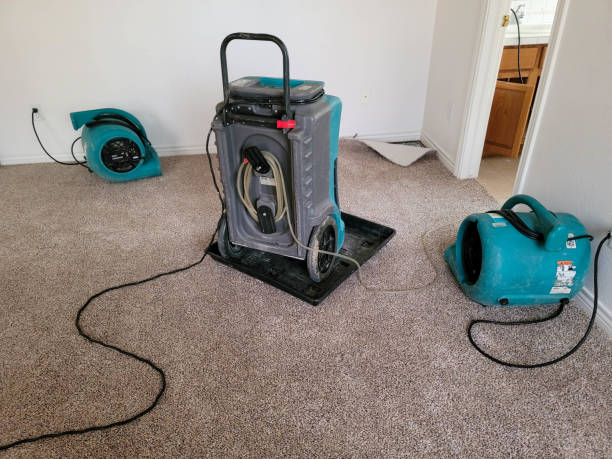 Best Flooded house restoration  in Strawberry, CA