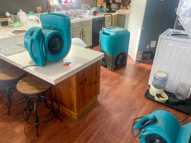 Best Sewage cleanup and water damage restoration  in Strawberry, CA