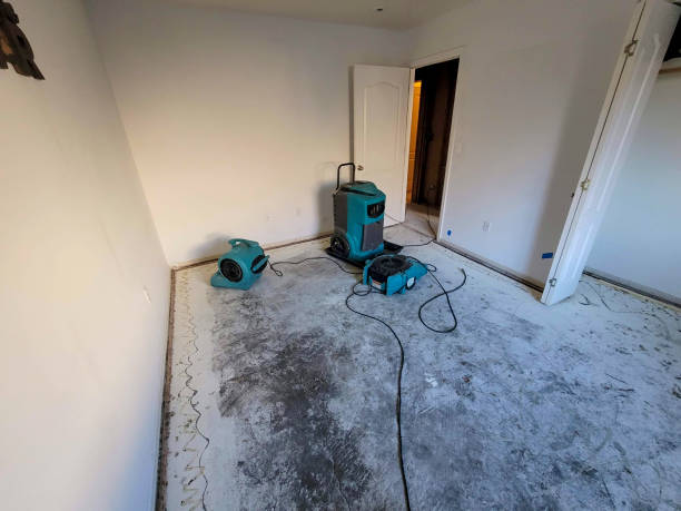 Best Ceiling water damage repair  in Strawberry, CA