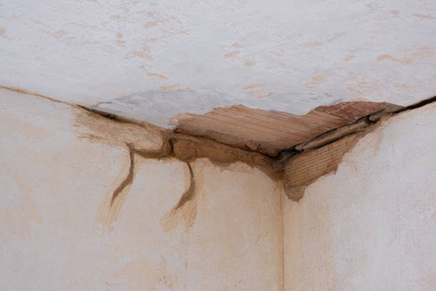 Best Flood restoration services  in Strawberry, CA