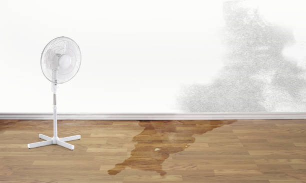 Best Water damage contractors near me  in Strawberry, CA